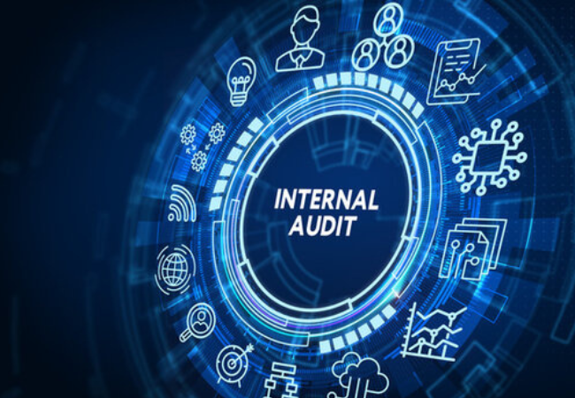 Internal Auditors
